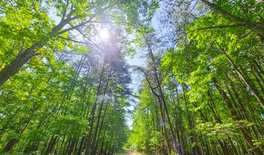 Photo #29 of SOLD property in 728 Retreat Drive, Axton, VA 32.4 acres