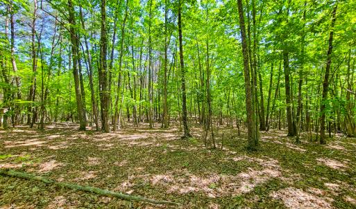 Photo #23 of SOLD property in 728 Retreat Drive, Axton, VA 32.4 acres