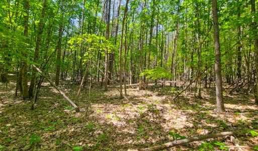 Photo #24 of SOLD property in 728 Retreat Drive, Axton, VA 32.4 acres