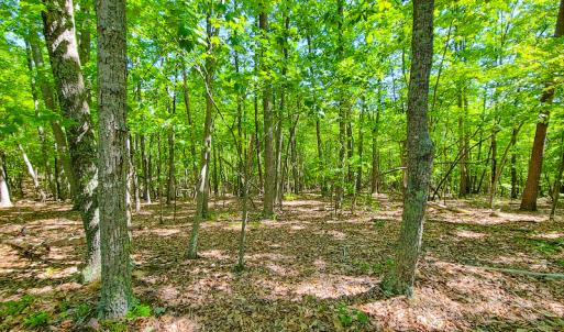 Photo #30 of SOLD property in 728 Retreat Drive, Axton, VA 32.4 acres