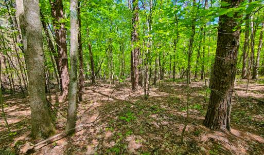 Photo #31 of SOLD property in 728 Retreat Drive, Axton, VA 32.4 acres
