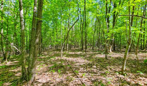 Photo #32 of SOLD property in 728 Retreat Drive, Axton, VA 32.4 acres