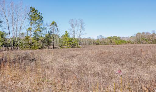 Photo #20 of SOLD property in Off W. Smith Street, Maxton, NC 5.1 acres