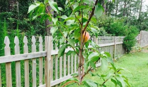 Photo #38 of SOLD property in 946 Second Street, Manteo, NC 0.4 acres