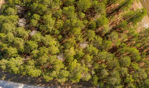 Photo #19 of SOLD property in 1575 Mercer Mill Road, Elizabethtown, NC 2.9 acres