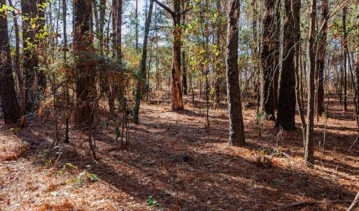 Photo #21 of SOLD property in 1575 Mercer Mill Road, Elizabethtown, NC 2.9 acres
