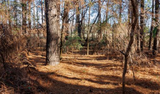 Photo #22 of SOLD property in 1575 Mercer Mill Road, Elizabethtown, NC 2.9 acres