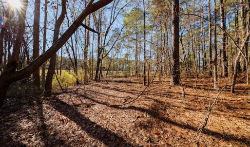 Photo #23 of SOLD property in 1575 Mercer Mill Road, Elizabethtown, NC 2.9 acres