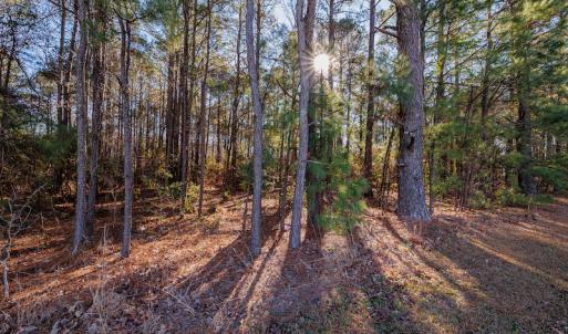 Photo #24 of SOLD property in 1575 Mercer Mill Road, Elizabethtown, NC 2.9 acres