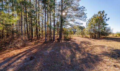 Photo #25 of SOLD property in 1575 Mercer Mill Road, Elizabethtown, NC 2.9 acres