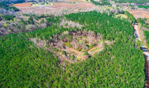 Photo #8 of SOLD property in Off Hub Quarter Road, Macon, NC 4.6 acres