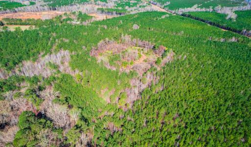Photo #9 of SOLD property in Off Hub Quarter Road, Macon, NC 4.6 acres