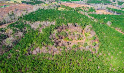 Photo #10 of SOLD property in Off Hub Quarter Road, Macon, NC 4.6 acres