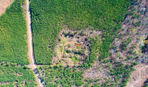 Photo #11 of SOLD property in Off Hub Quarter Road, Macon, NC 4.6 acres