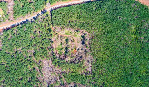 Photo #12 of SOLD property in Off Hub Quarter Road, Macon, NC 4.6 acres
