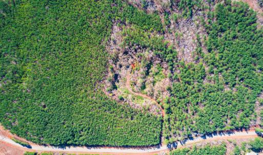 Photo #13 of SOLD property in Off Hub Quarter Road, Macon, NC 4.6 acres
