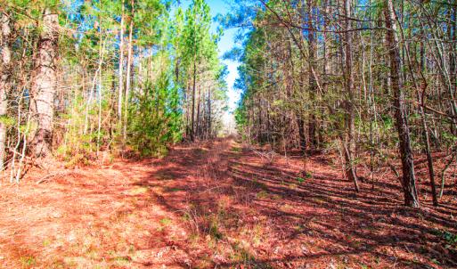 Photo #15 of SOLD property in Off Hub Quarter Road, Macon, NC 4.6 acres