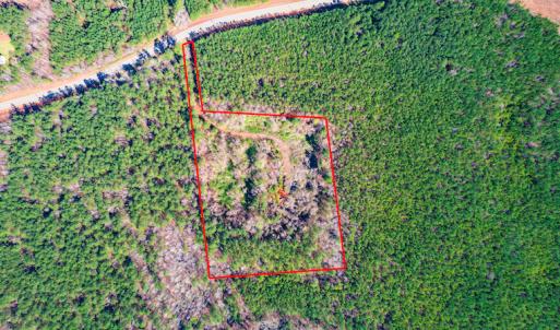 Photo #3 of SOLD property in Off Hub Quarter Road, Macon, NC 4.6 acres