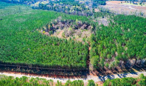 Photo #4 of SOLD property in Off Hub Quarter Road, Macon, NC 4.6 acres