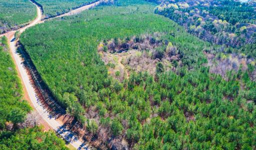 Photo #5 of SOLD property in Off Hub Quarter Road, Macon, NC 4.6 acres
