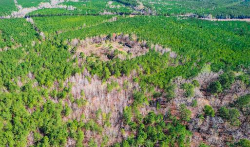 Photo #7 of SOLD property in Off Hub Quarter Road, Macon, NC 4.6 acres