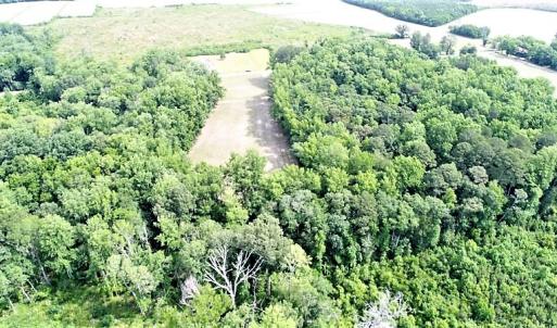 Photo #6 of SOLD property in 4311 Anderson Chapel Road, Macclesfield, NC 26.0 acres