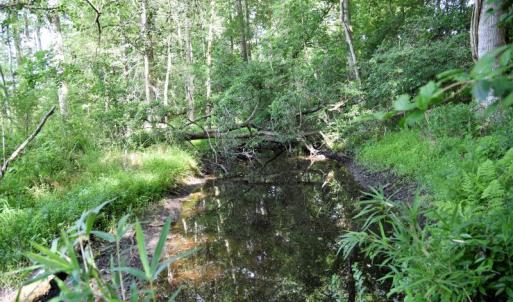 Photo #8 of SOLD property in 4311 Anderson Chapel Road, Macclesfield, NC 26.0 acres