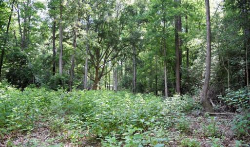 Photo #9 of SOLD property in 4311 Anderson Chapel Road, Macclesfield, NC 26.0 acres