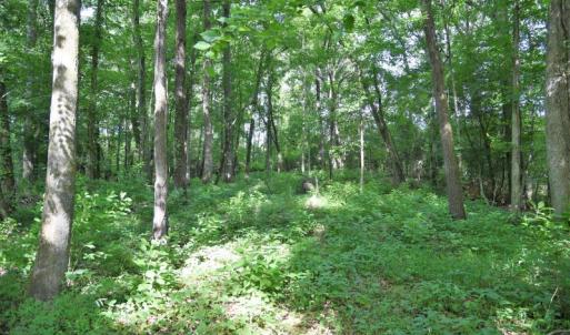 Photo #10 of SOLD property in 4311 Anderson Chapel Road, Macclesfield, NC 26.0 acres