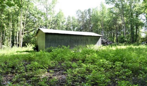 Photo #11 of SOLD property in 4311 Anderson Chapel Road, Macclesfield, NC 26.0 acres