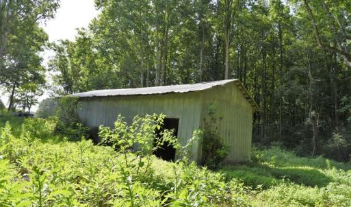 Photo #15 of SOLD property in 4311 Anderson Chapel Road, Macclesfield, NC 26.0 acres