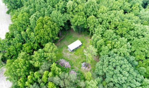Photo #17 of SOLD property in 4311 Anderson Chapel Road, Macclesfield, NC 26.0 acres