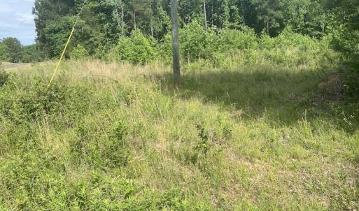 Photo #14 of SOLD property in Lot 1 - Hunters Bluff Lane, Warrenton, NC 15.0 acres