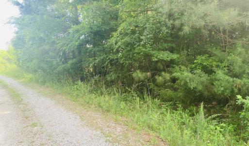 Photo #15 of SOLD property in Lot 1 - Hunters Bluff Lane, Warrenton, NC 15.0 acres
