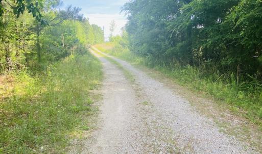 Photo #18 of SOLD property in Lot 1 - Hunters Bluff Lane, Warrenton, NC 15.0 acres