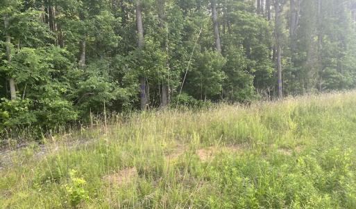 Photo #13 of SOLD property in Lot 1 - Hunters Bluff Lane, Warrenton, NC 15.0 acres