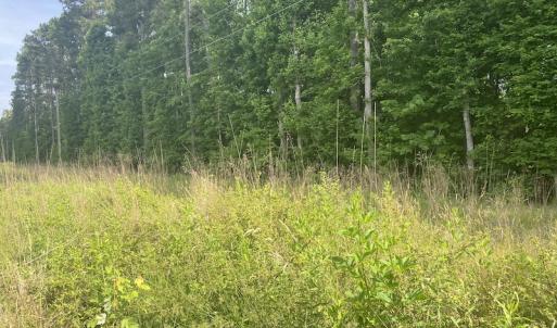 Photo #12 of SOLD property in Lot 1 - Hunters Bluff Lane, Warrenton, NC 15.0 acres