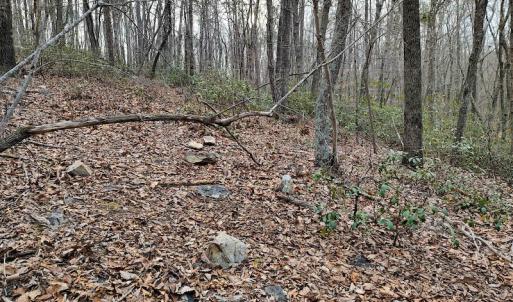 Photo #12 of SOLD property in Off Tery Court, Madison Heights, VA 5.8 acres