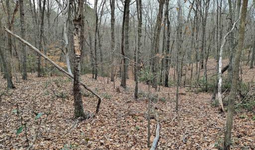 Photo #13 of SOLD property in Off Tery Court, Madison Heights, VA 5.8 acres