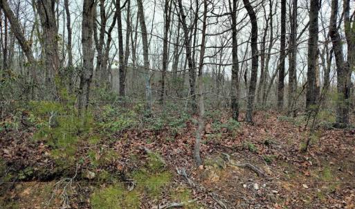 Photo #14 of SOLD property in Off Tery Court, Madison Heights, VA 5.8 acres