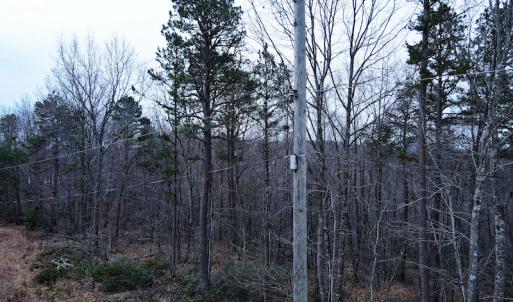 Photo #15 of SOLD property in Off Tery Court, Madison Heights, VA 5.8 acres