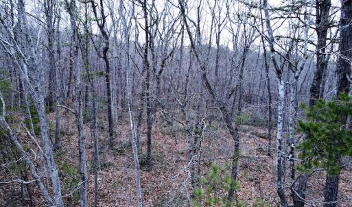 Photo #16 of Off Tery Court, Madison Heights, VA 5.8 acres