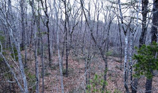 Photo #16 of SOLD property in Off Tery Court, Madison Heights, VA 5.8 acres