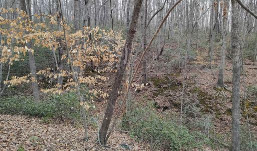 Photo #18 of SOLD property in Off Tery Court, Madison Heights, VA 5.8 acres