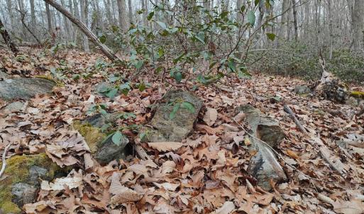 Photo #19 of SOLD property in Off Tery Court, Madison Heights, VA 5.8 acres