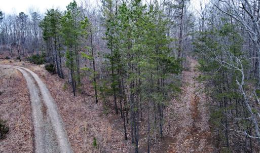 Photo #3 of SOLD property in Off Tery Court, Madison Heights, VA 5.8 acres