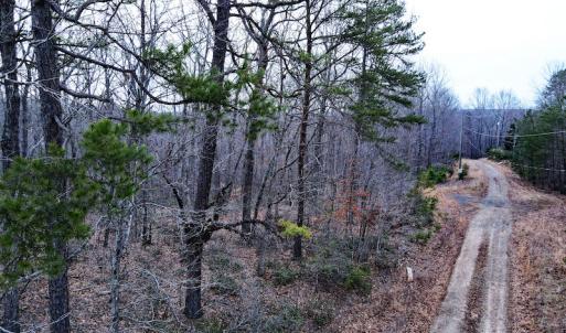 Photo #4 of SOLD property in Off Tery Court, Madison Heights, VA 5.8 acres