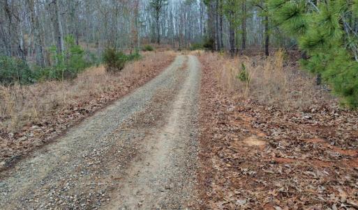 Photo #6 of SOLD property in Off Tery Court, Madison Heights, VA 5.8 acres