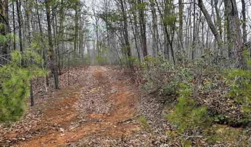 Photo #7 of SOLD property in Off Tery Court, Madison Heights, VA 5.8 acres
