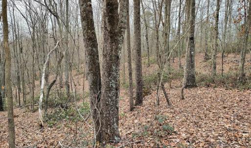 Photo #9 of SOLD property in Off Tery Court, Madison Heights, VA 5.8 acres